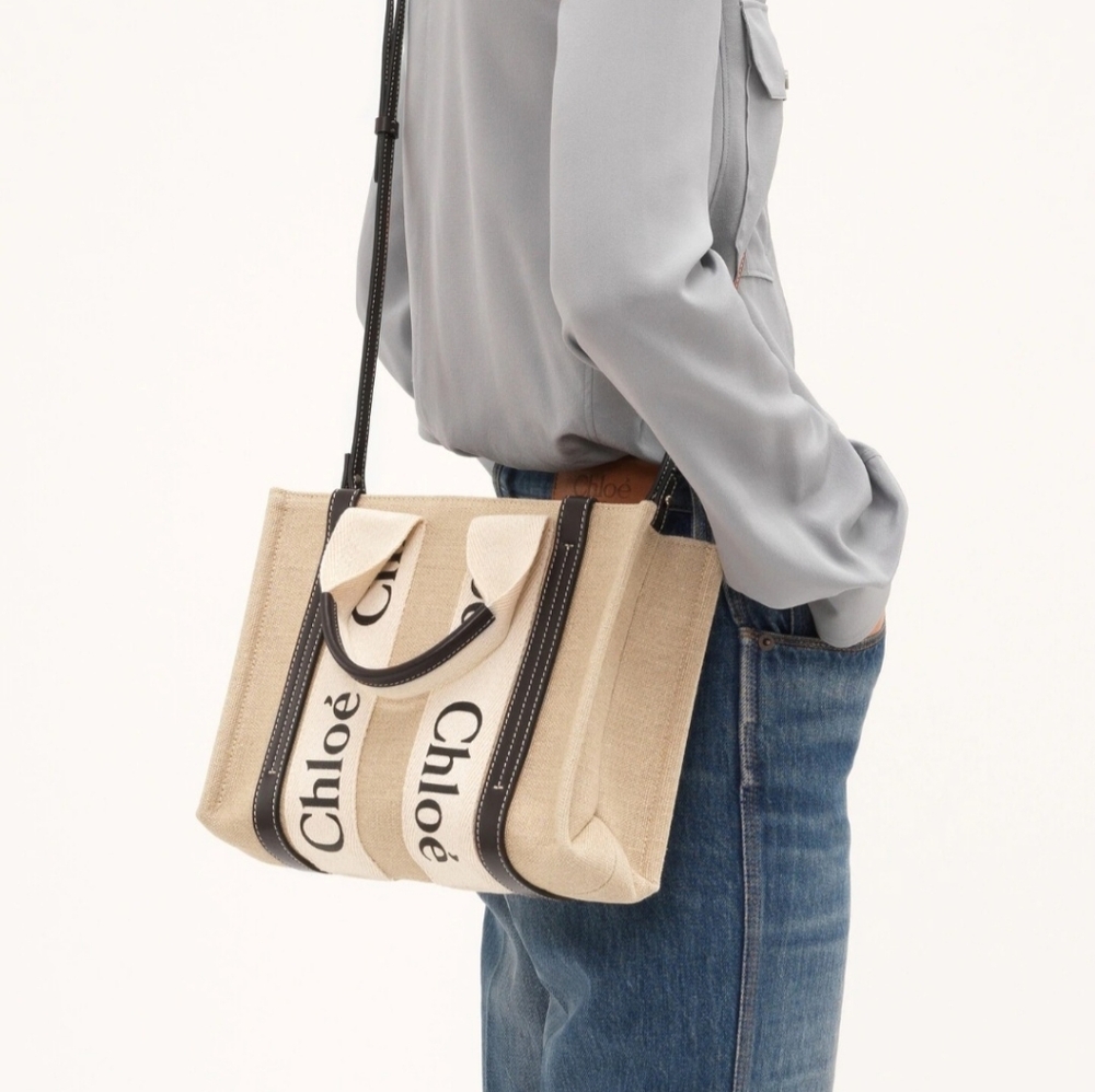 Chloé Small Woody Tote Bag in Beige and Blue - Picture 3 of 14